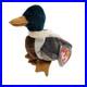 RARE-Ty-Beanie-Baby-JAKE-the-Mallard-with-ERRORS-Date-discrepancy-97-swing-tag-98-01-ogy