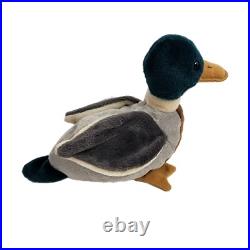 RARE Ty Beanie Baby JAKE the Mallard with ERRORS Date discrepancy-97 swing tag 98