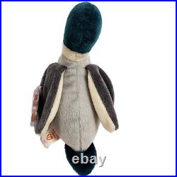 RARE Ty Beanie Baby JAKE the Mallard with ERRORS Date discrepancy-97 swing tag 98