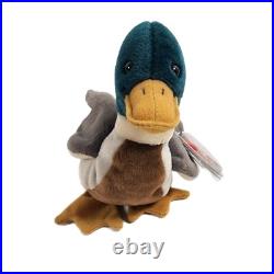 RARE Ty Beanie Baby JAKE the Mallard with ERRORS Date discrepancy-97 swing tag 98