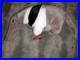 RARE-VINTAGE-TY-Beanie-Baby-Ants-The-Anteater-1998-Retired-ERRORS-01-xjj