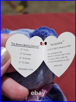 RARE VINTAGE TY Beanie Baby Periwinkle The Bear 2000 Retired? ERRORS