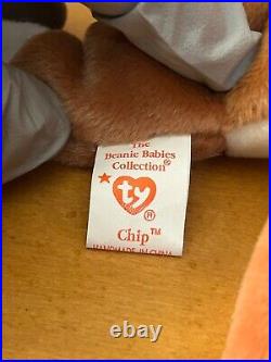 RARE WITH ERRORS Chip 1996 MINT Ty Vintage Beanie Baby