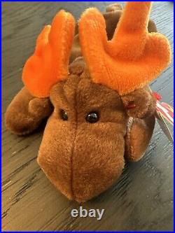 RARE withTag ErrorsTY Beanie Baby Chocolate the Moose 1993