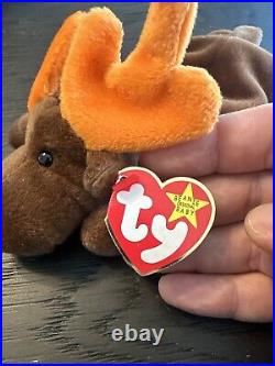 RARE withTag ErrorsTY Beanie Baby Chocolate the Moose 1993