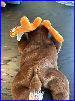 RARE withTag ErrorsTY Beanie Baby Chocolate the Moose 1993