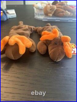 RARE withTag ErrorsTY Beanie Baby Chocolate the Moose 1993