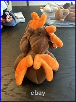 RARE withTag ErrorsTY Beanie Baby Chocolate the Moose 1993