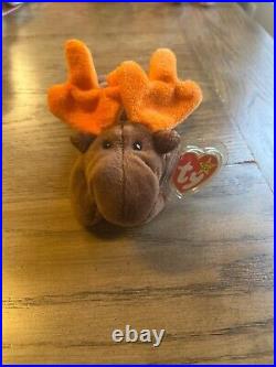RETIRED 1993 TY Beanie Baby Chocolate the Moose RARE, MULTIPLE ERRORS MINT COND