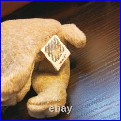 Rare Almond Ty Beanie Baby With Tag Errors Open To Offers Rare Almond Ty Beanie Baby With Tag Errors Open To Offers