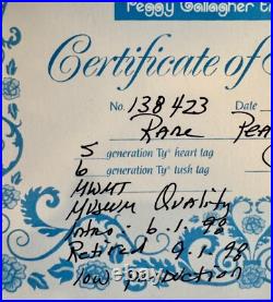 Rare, Authenticated, 1996 ty beanie baby Peace, Mint, Retired, low Production