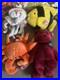 Rare-Beanie-Babies-Beanie-Buddies-edition-1998-1999-with-all-error-tags-01-faj
