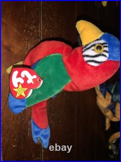 Rare Beanie Baby Jabber The Parrot Tropical Bird Tag Errors