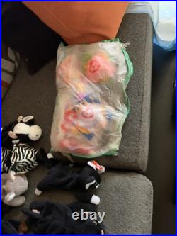 Rare Beautiful collection