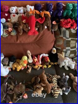 Rare Beautiful collection