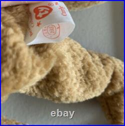 Rare Errors Retired Ty Beanie Baby'curly' The Bear Many Errors Mint Condition