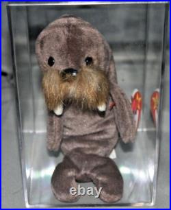 Rare! Jolly the Walrus Beanie Baby Rare! Jolly the Walrus Beanie Baby