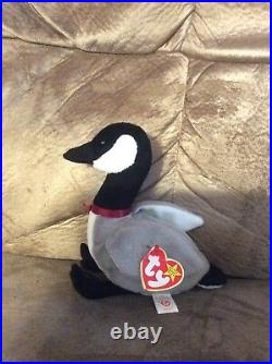 Rare Loosy Beanie Baby With Tags And Errors