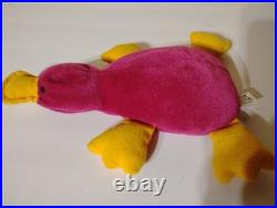 Rare Patti The Platypus Beanie baby TBB Digital Authenticated Raspberry Maroon