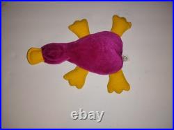 Rare Patti The Platypus Beanie baby TBB Digital Authenticated Raspberry Maroon