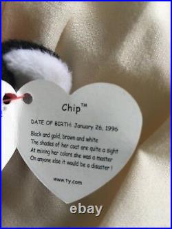 Rare Retired Errors 1996 TY Chip Beanie Baby PVC Pellets, Circle inside tush tag