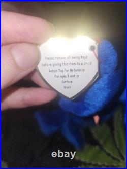 Rare Retired TY Beanie Baby Clubby the Bear with Tush Tag Stamp (8.5 Inch)