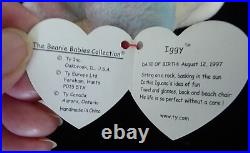 Rare Retired Ty 1997 Beanie Baby RAINBOW Chameleon No Tongue, Wrong IGGY Tag