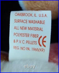 Rare Retired Ty 1997 Beanie Baby RAINBOW Chameleon No Tongue, Wrong IGGY Tag