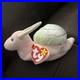 Rare-Retired-Ty-Beanie-Babies-Swirly-The-Snail-Plush-Toy-Mint-Condition-01-dfjk