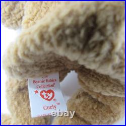 Rare Retired Ty Beanie Baby Curly The Bear 1993 1996 Beer With Numerous Errors
