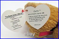 Rare Retired Ty Beanie Baby Curly The Bear 1993 1996 Beer With Numerous Errors