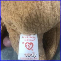 Rare Retired Ty Beanie Baby Curly The Bear Many Errors