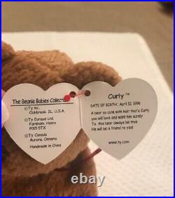 Rare Retired Ty Beanie Baby Curly The Bear Tag Errors New Mint Condition