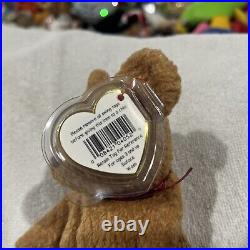 Rare Retired Ty Beanie Baby, Curly The Bear with brown nose. 1993/1996 Tag Error