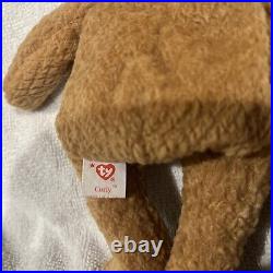 Rare Retired Ty Beanie Baby, Curly The Bear with brown nose. 1993/1996 Tag Error