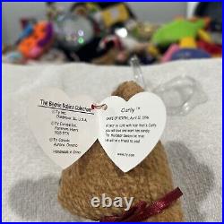 Rare Retired Ty Beanie Baby, Curly The Bear with brown nose. 1993/1996 Tag Error