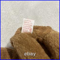 Rare Retired Ty Beanie Baby, Curly The Bear with brown nose. 1993/1996 Tag Error