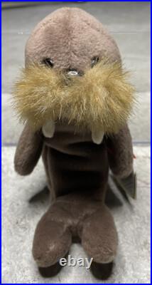 Rare Retired Ty Beanie Baby JOLLY Walrus Errors Babies PVC Pellets