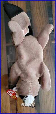 Rare Ringo Raccoon TY Beanie Baby PE Pellets Authentic Original WithErrors