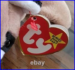 Rare Ringo Raccoon TY Beanie Baby PE Pellets Authentic Original WithErrors