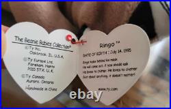 Rare Ringo Raccoon TY Beanie Baby PE Pellets Authentic Original WithErrors