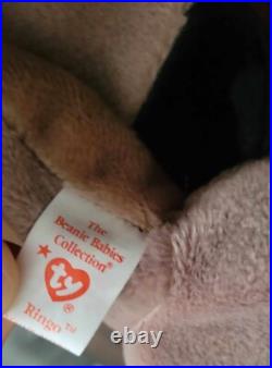 Rare Ringo Raccoon TY Beanie Baby PE Pellets Authentic Original WithErrors