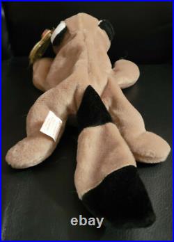 Rare Ringo The Raccoon Ty Beanie Babies Retired Errors Nwt Original Owner F/s