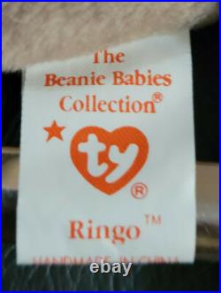 Rare Ringo The Raccoon Ty Beanie Babies Retired Errors Nwt Original Owner F/s