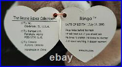 Rare Ringo The Raccoon Ty Beanie Babies Retired Errors Nwt Original Owner F/s