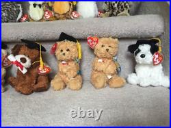 Rare Set of 15-Ty Beanie Babies & 1-Ty Attic Treasures Graduation Owls 1998-2009