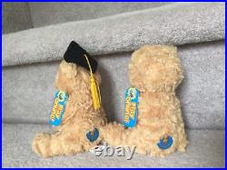 Rare Set of 15-Ty Beanie Babies & 1-Ty Attic Treasures Graduation Owls 1998-2009