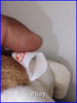 Rare TY Beanie Babies Tracker Basset Hound 1997 with Red Tag Errors