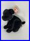 Rare-TY-LUKE-Beanie-Baby-1998-1999-with-Tag-Errors-Holographic-01-wszt