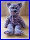 Rare-Ty-Beanie-Babies-USA-2000-Bear-with-tush-tag-Errors-Retired-Patriotic-Plush-01-ypgl